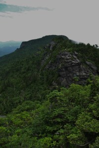 Northeast view toward Calloway Peak and Profile Rock
