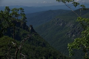 Chimneys and North Carolina Wall