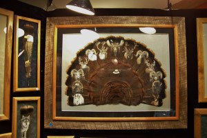 Painting on Turkey Tailfeathers