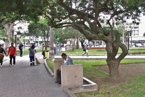 Kennedy Park ("Park of the Cats")