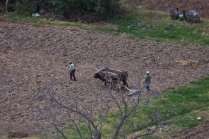 The ancient way still practiced