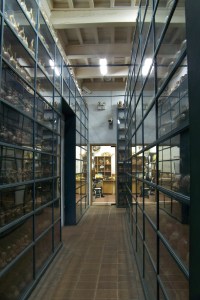 A Small Part of the 'tesoros'