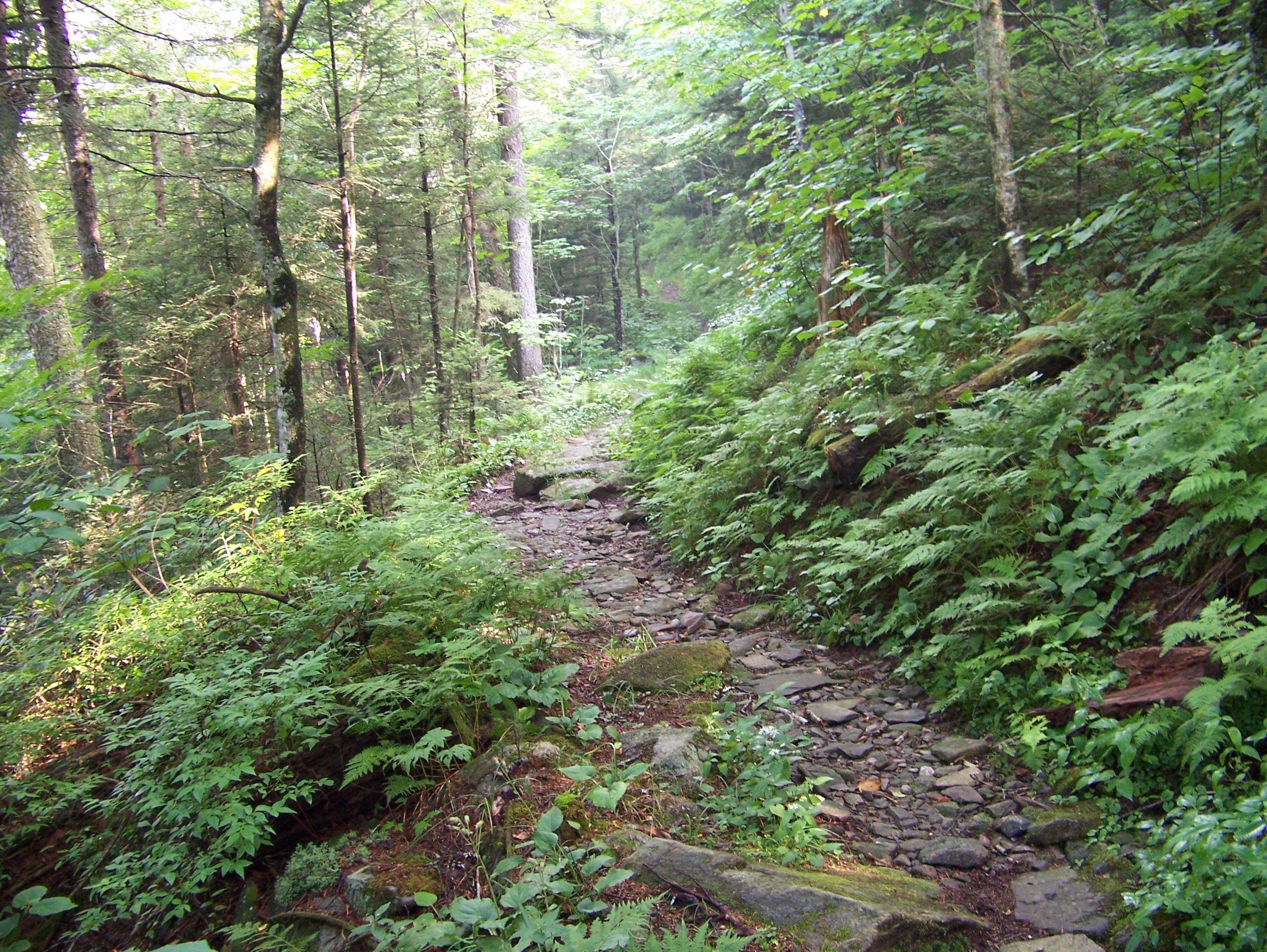 16-08-08 Smoky Mountians 043