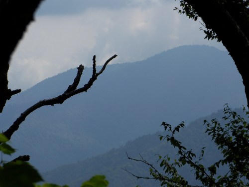 16-08-08 Smoky Mountians 047