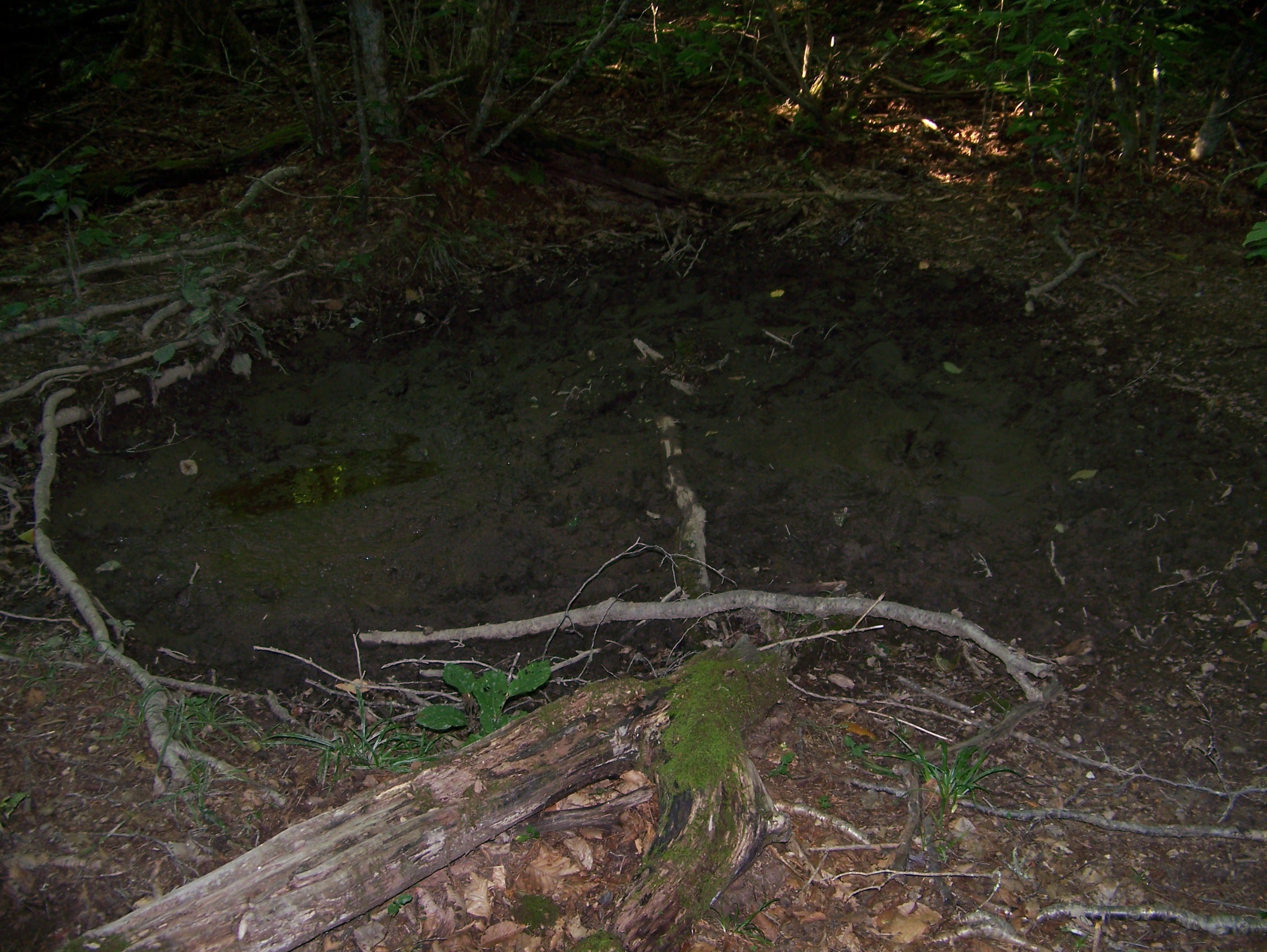 16-08-08 Smoky Mountians 098