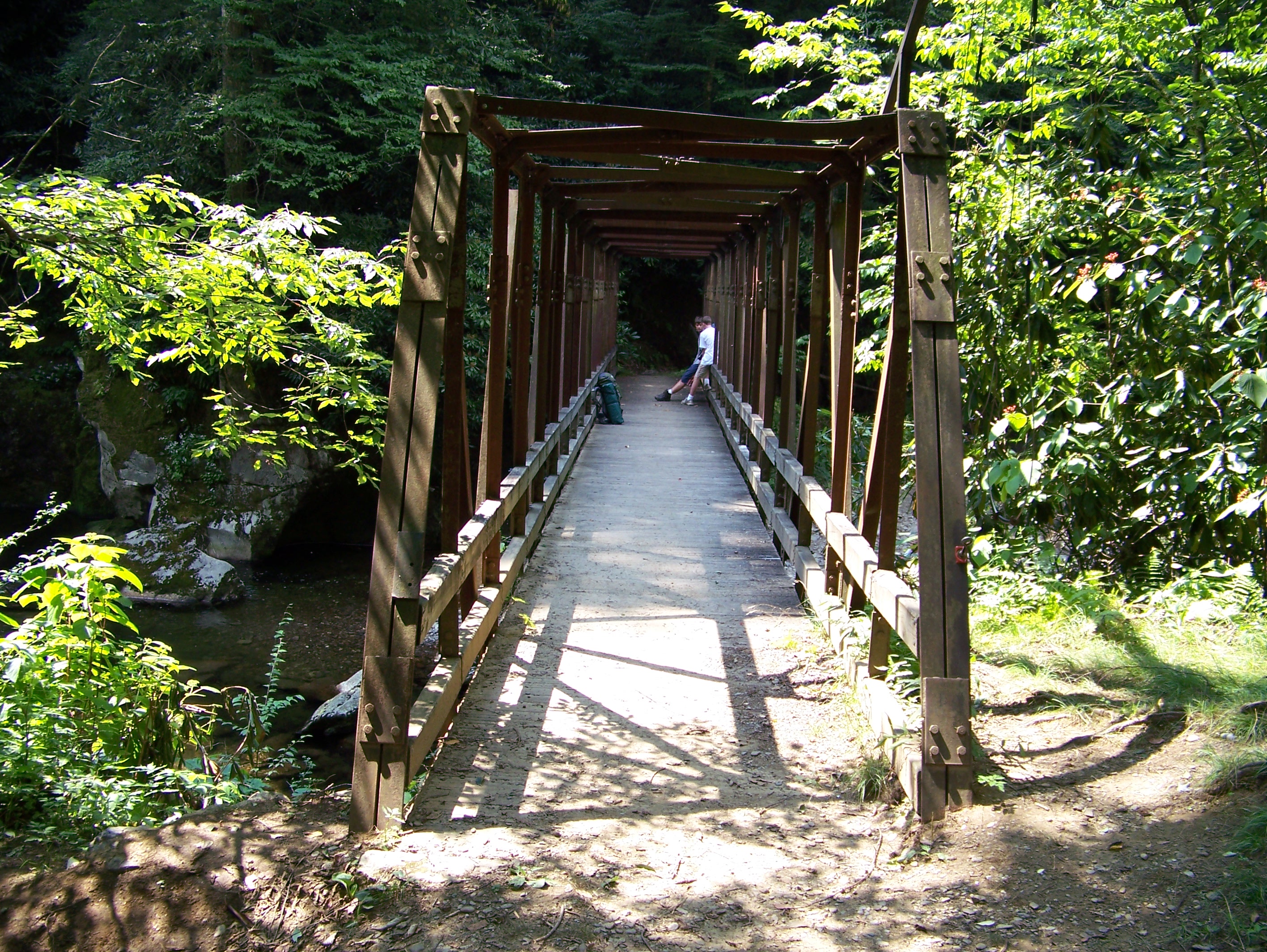 16-08-08 Smoky Mountians 113